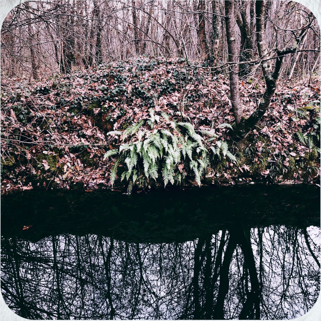 Kantuôn Ćakuluôn – podcast – epizoda 7 – “Najmlaji&nbsp;najpemetneji”